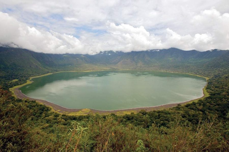 Ngorongoro Crater Africa Veterans Safaris