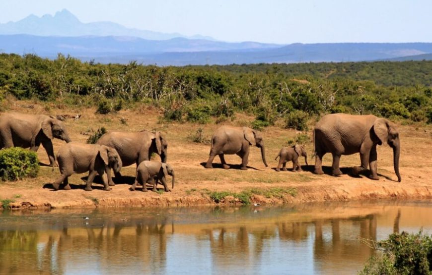 Tsavo East National Park