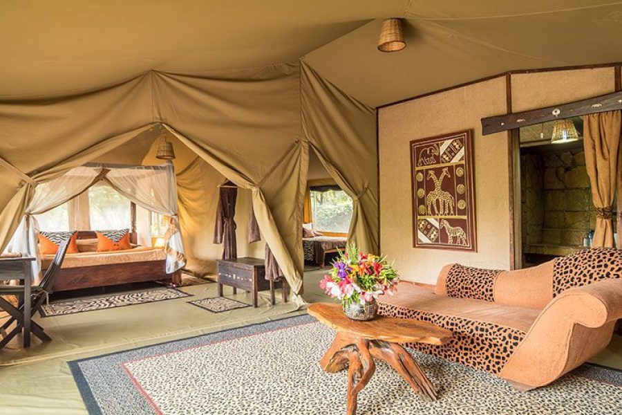 Rhino Watch Lodge