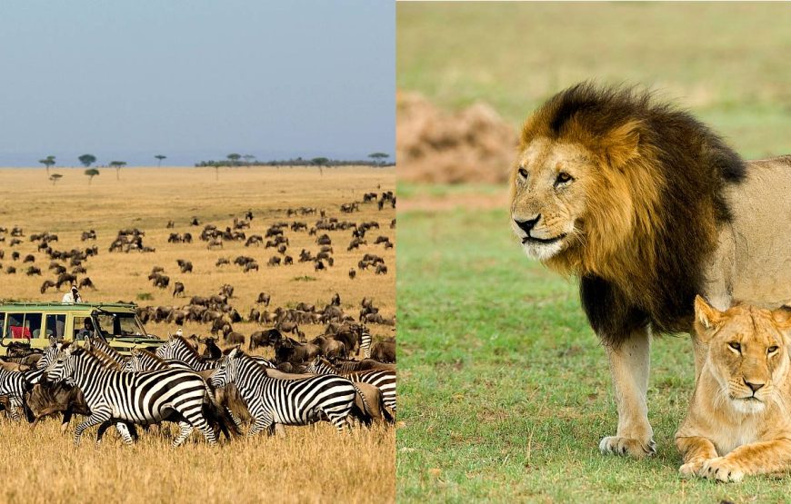 Serengeti National Park