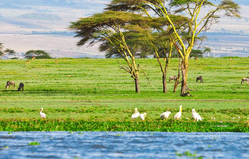 Lake Naivasha Day Trip