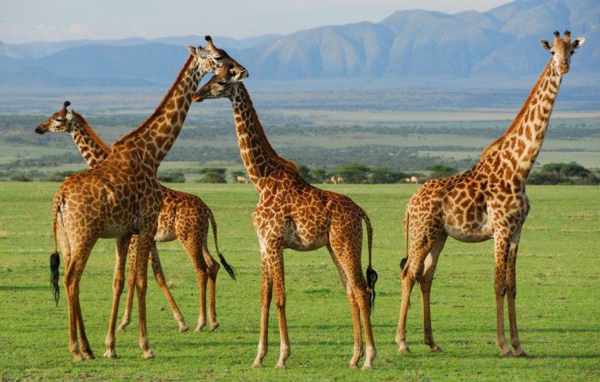 Serengeti National Park