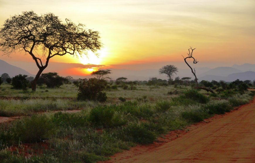 Tsavo National Park