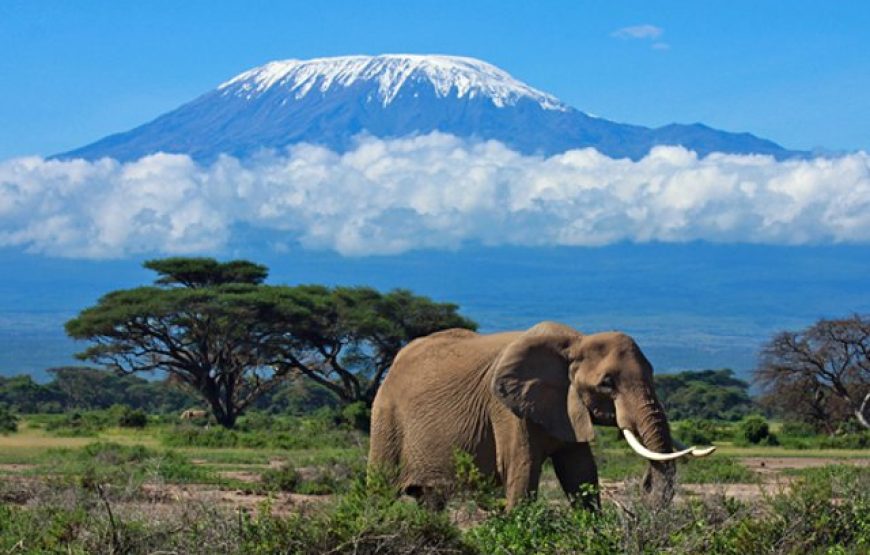 Mt. Kilimanjaro Machame Route