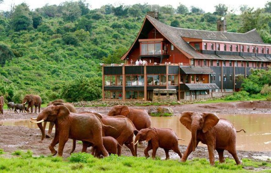 Aberdare National  Park