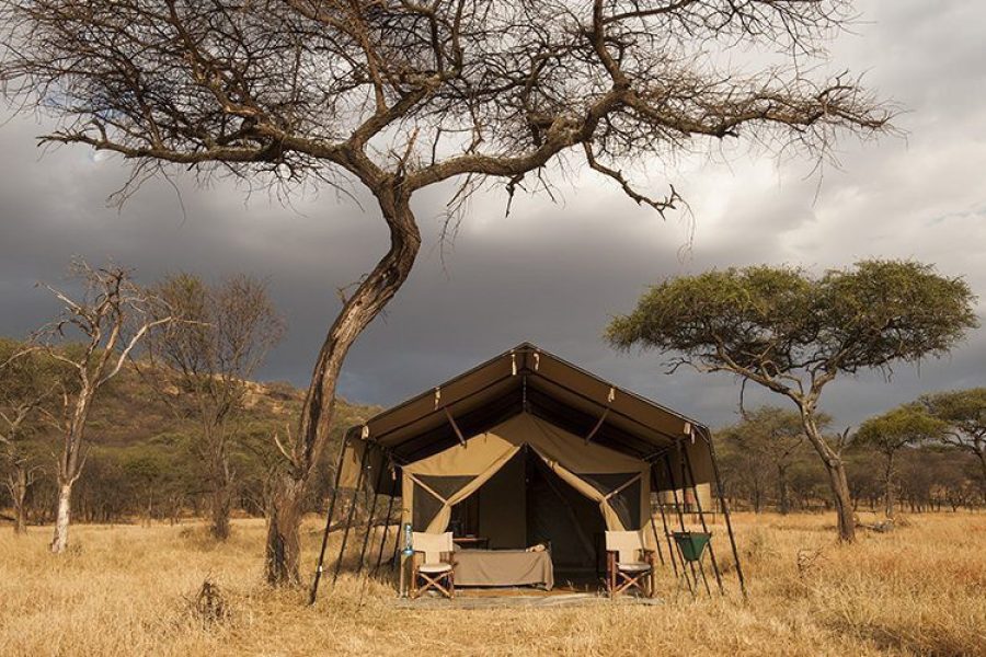 Serengeti Kati Kati