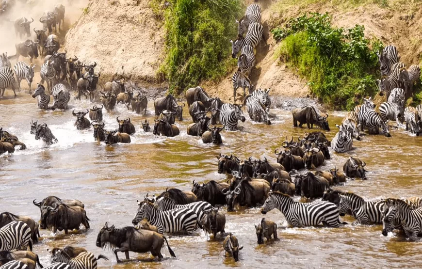 7 Days 6 Nights Safari