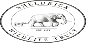 dswt logo