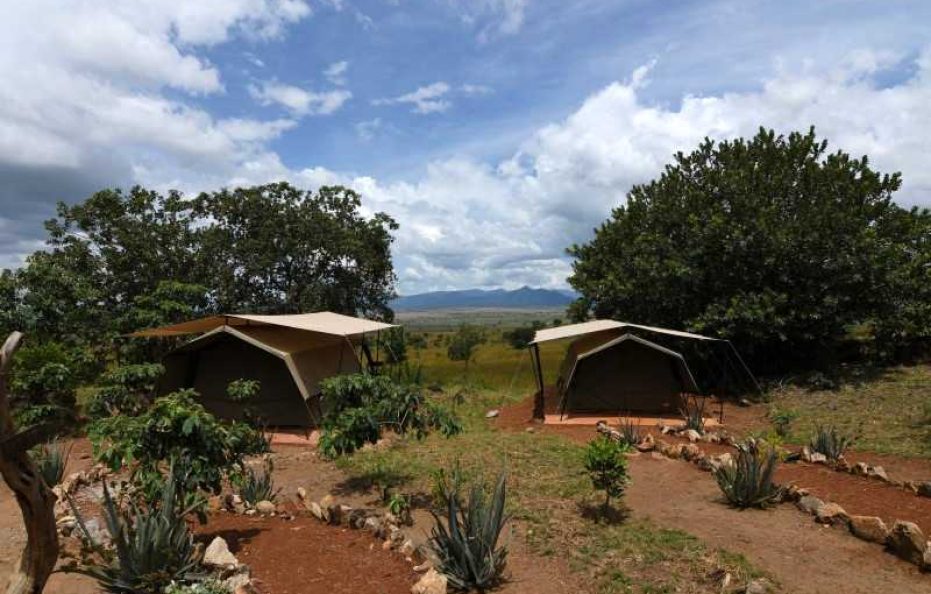 Kidepo Savanna Lodge Safari Tent