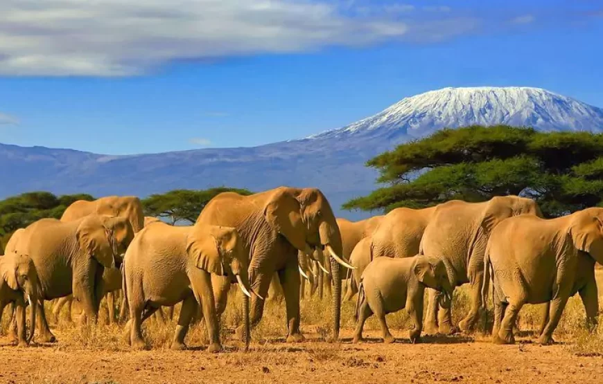 3-Day 2 nights Masai Mara Only