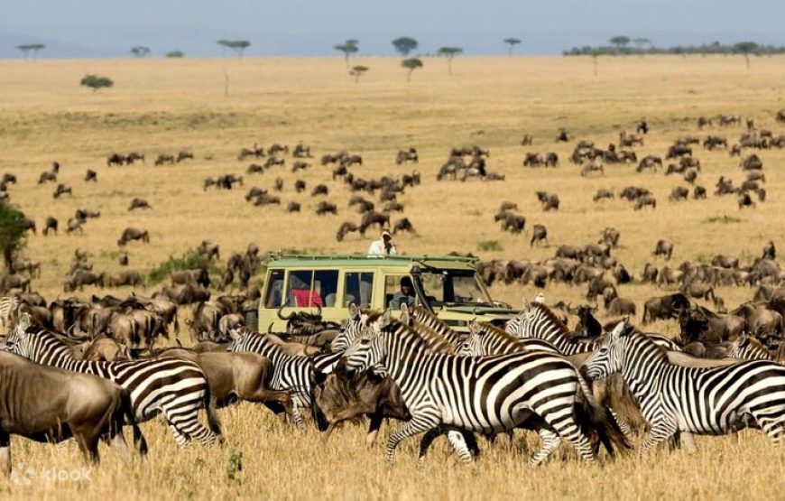 3-Day 2 nights Masai Mara Only