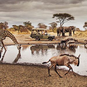Kenya And Tanzania Wildlife Safari