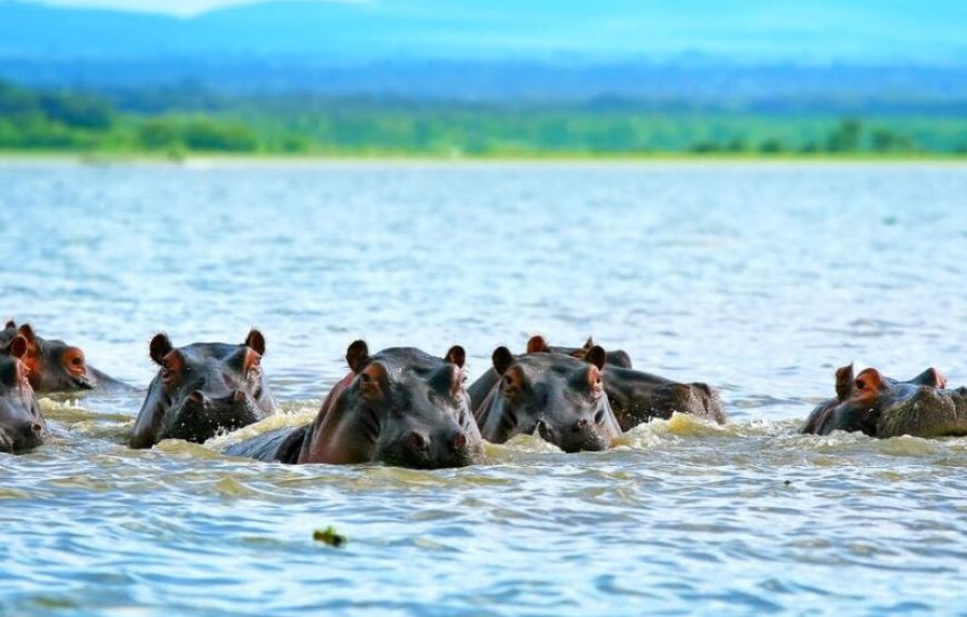 7-Day Kenya Budget Adventure Safari