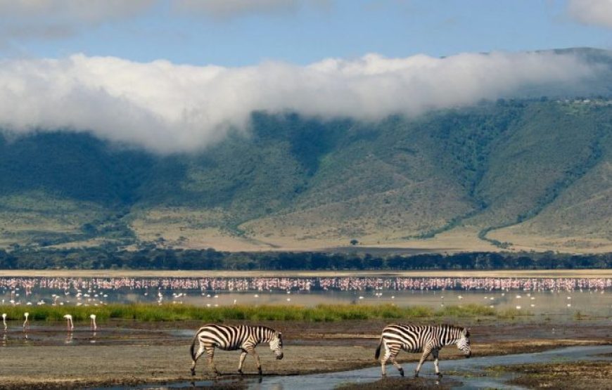 5 Days Ngorongoro and Chimpanzee Safari
