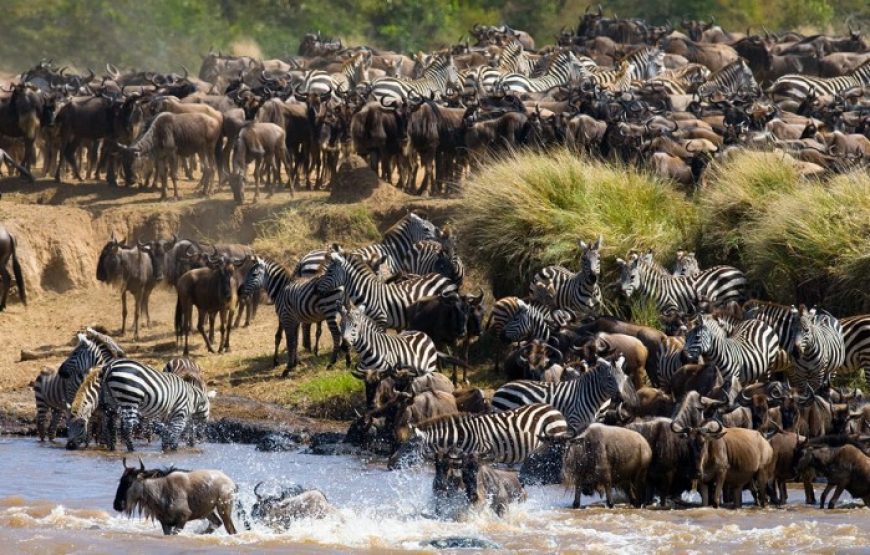3-Day 2 nights Masai Mara Only
