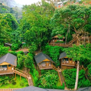 Uganda Primates Adventure