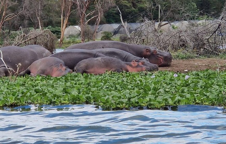7-Day Kenya Budget Adventure Safari