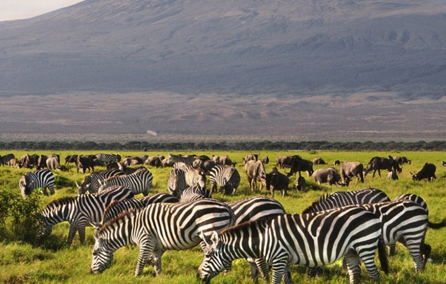 4-Day Nairobi – Amboseli Budget Safari