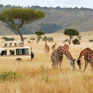 8 Day Kenya Adventure Budget Tour Safari