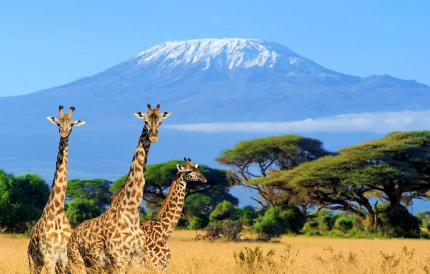 7-Day Kenya Budget Adventure Safari