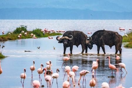 Lake Nakuru National Park