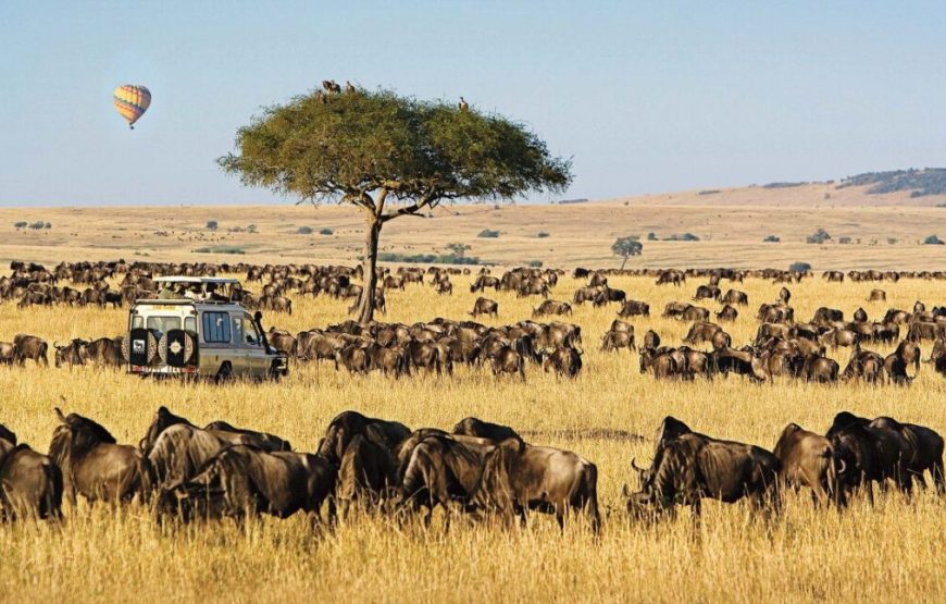 8-Day Kenya Budget Honeymoon Safari
