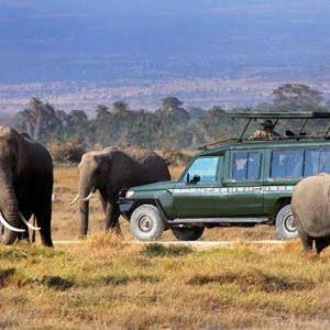 Masai Mara Budget