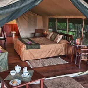 Masai Mara Budget Tour Safari