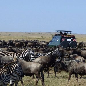 Masai Mara Safari Only