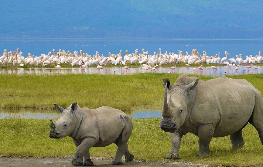 8-Day Kenya Budget Honeymoon Safari