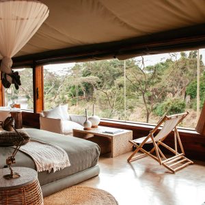 14 Days Kenya And Tanzania Luxury Safari