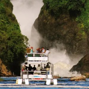 3 Day Murchison Falls Safari Rhino Tracking Uganda
