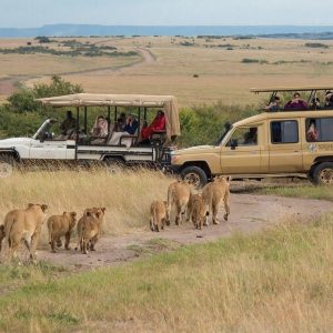 5 Days4 Nights Kenya Safari Jwlhh