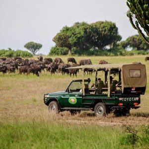 Mweyasafarilodge14