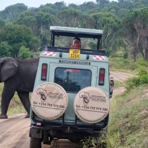 Uganda Wildlife Chimpanzee And Gorilla Tracking Safari Cover